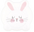Hippity Hoppity Bunny Dinner Plates